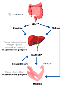 Infografiki Motywator Tv