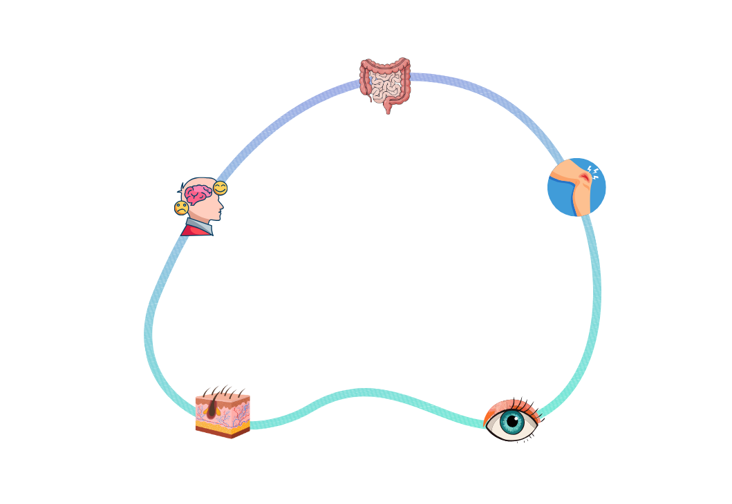 Protokół dnia codziennego