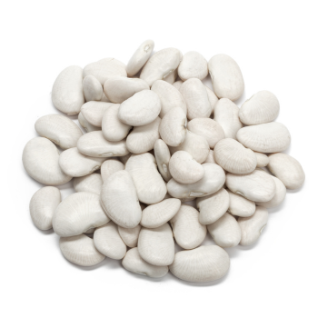 Fasola, biała, surowa