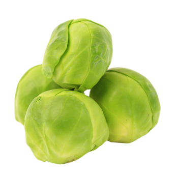 Brukselka, surowa