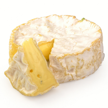 Ser, Camembert