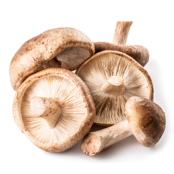 Grzyby, shiitake, surowe