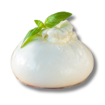 Burrata