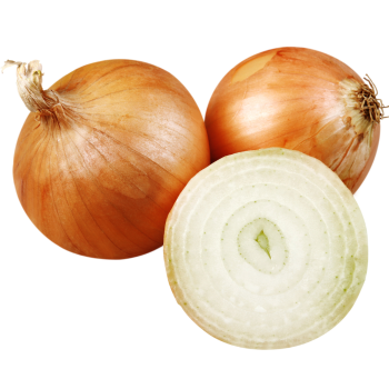 Cebula, słodka, surowa