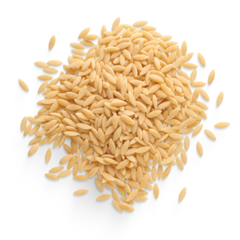 Makaron orzo