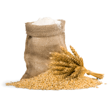 Otręby pszenne, surowe