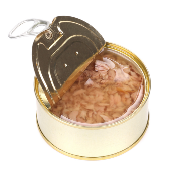 Puszka tuńczyka w sosie własnym