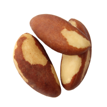 Orzechy brazylijskie nieblanszowane