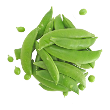 Zielony groszek cukrowy