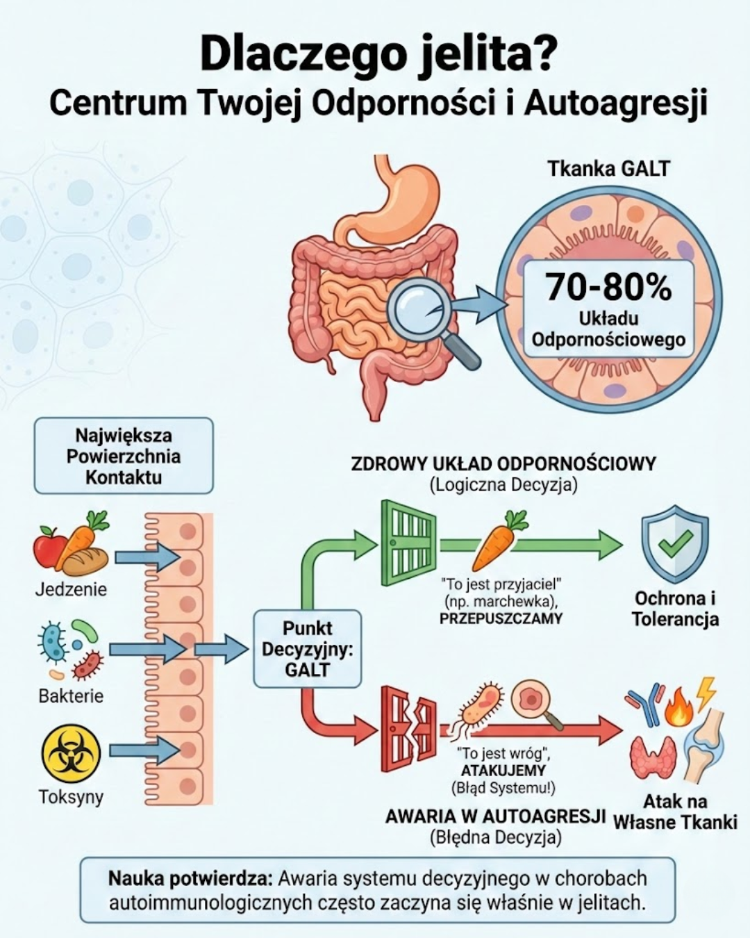 Jelita: Centrum odporności i autoagresji