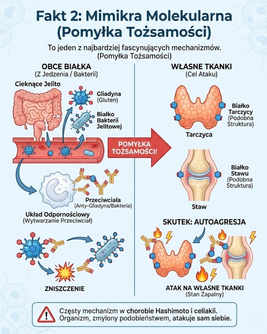 Mimikra Molekularna: Pomyłka Tożsamości i Autoagresja
