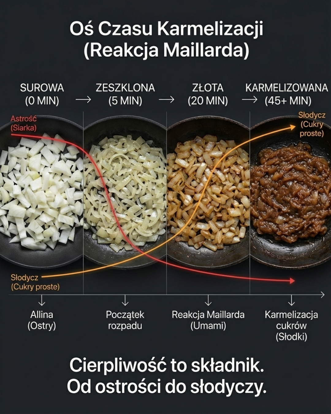 Oś Czasu Karmelizacji: Od Ostrości do Słodyczy Cebuli