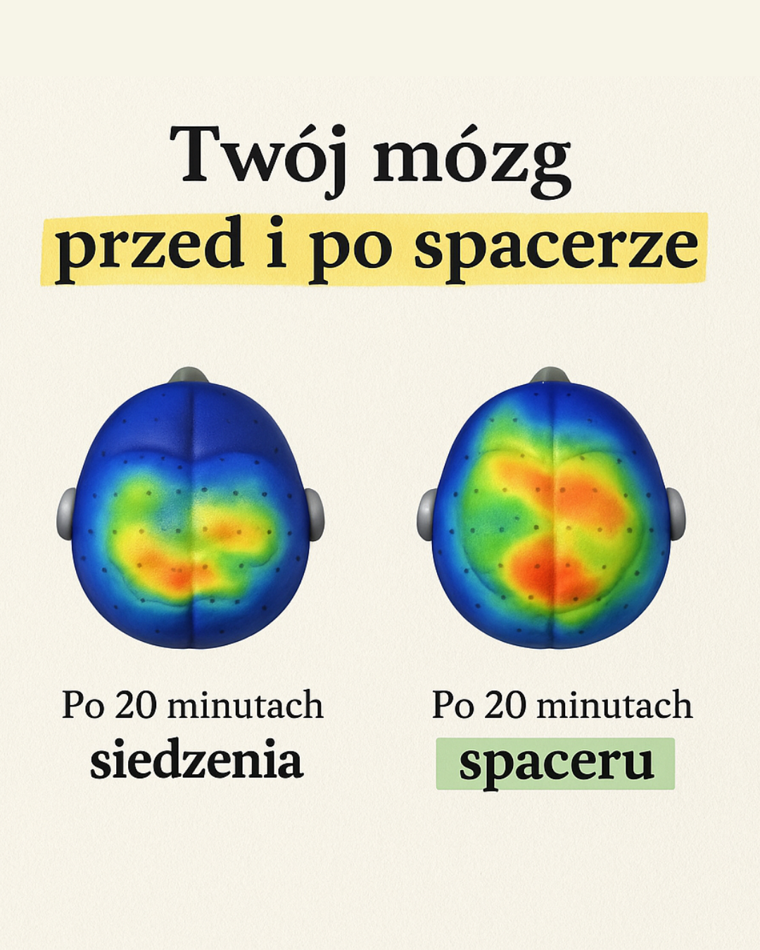 Twój mózg przed i po spacerze: Aktywność mózgu