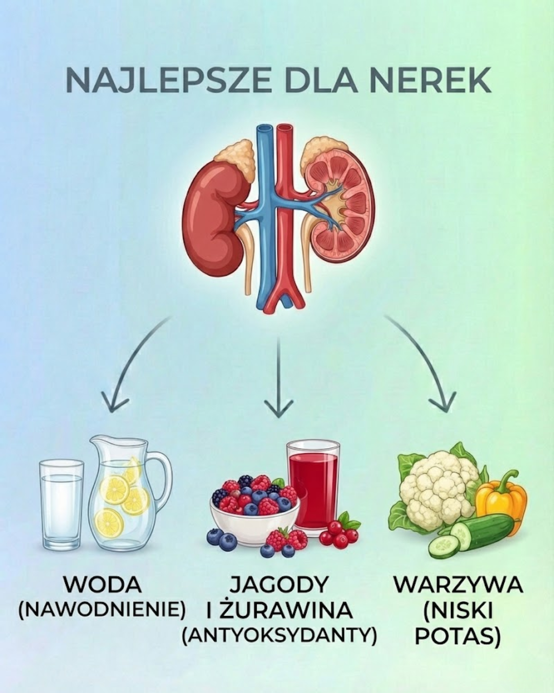 Najlepsze produkty dla zdrowych nerek
