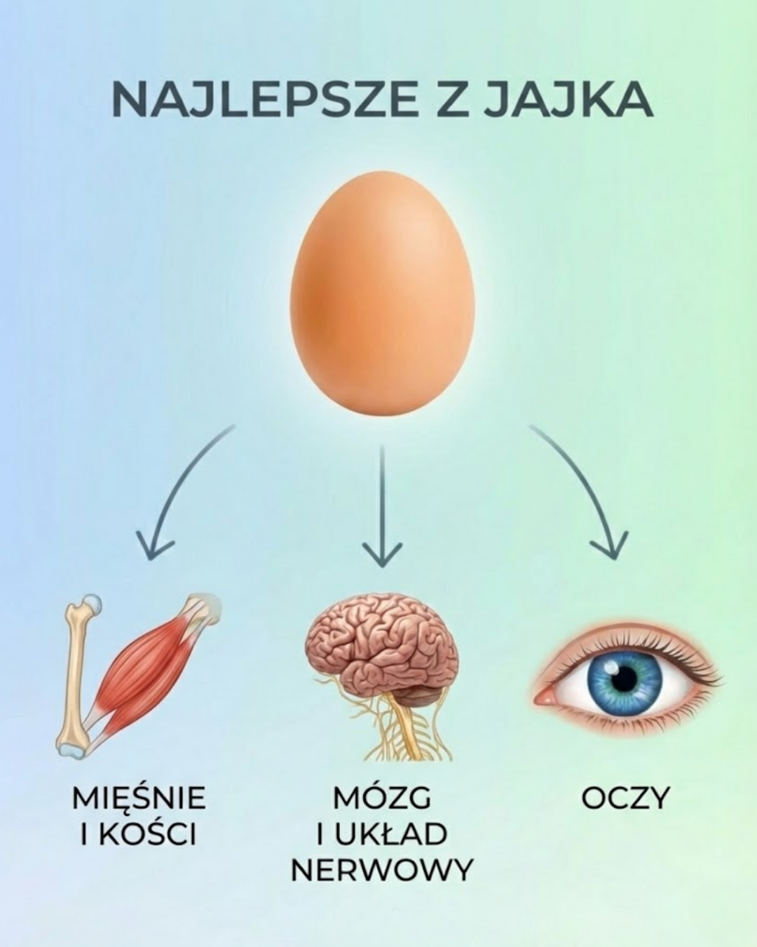Najlepsze z jajka: Korzyści dla mięśni, mózgu i oczu