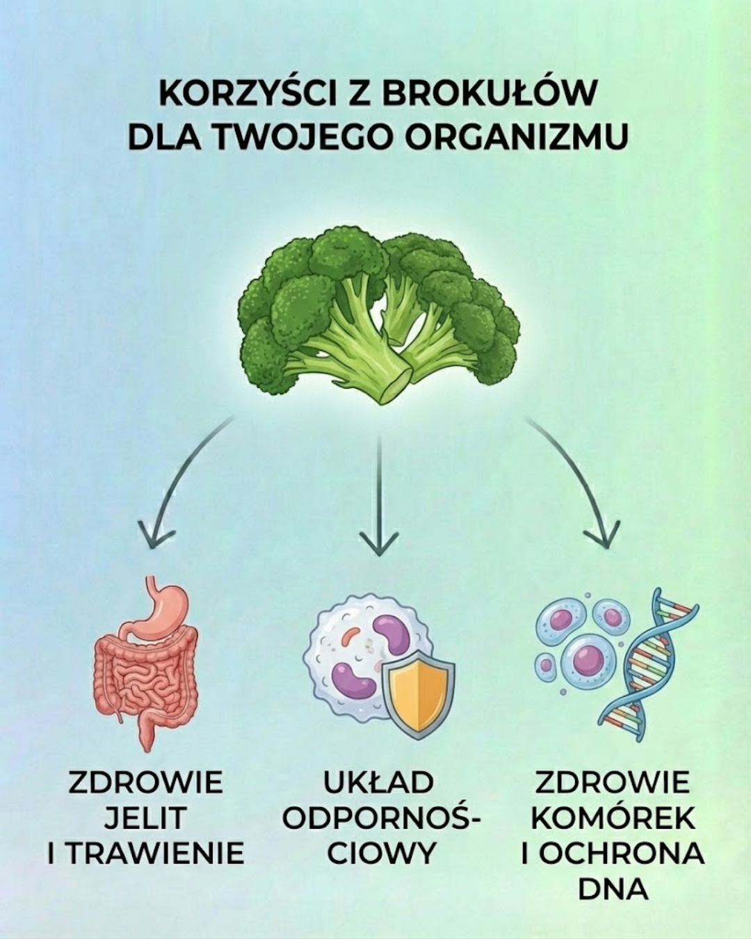 Korzyści z brokułów dla Twojego organizmu