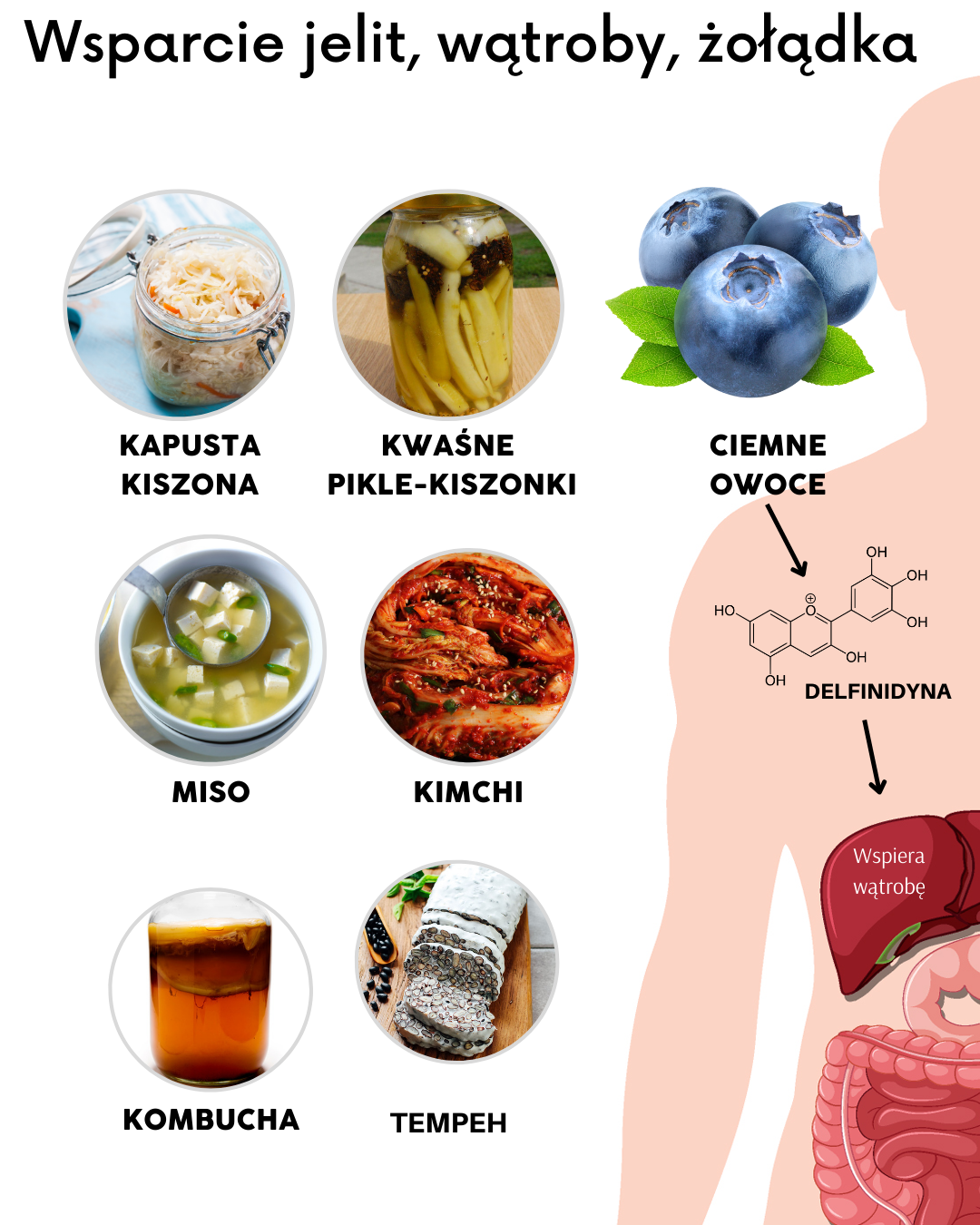 Wsparcie jelit, wątroby i żołądka: Fermentowane i zdrowe produkty