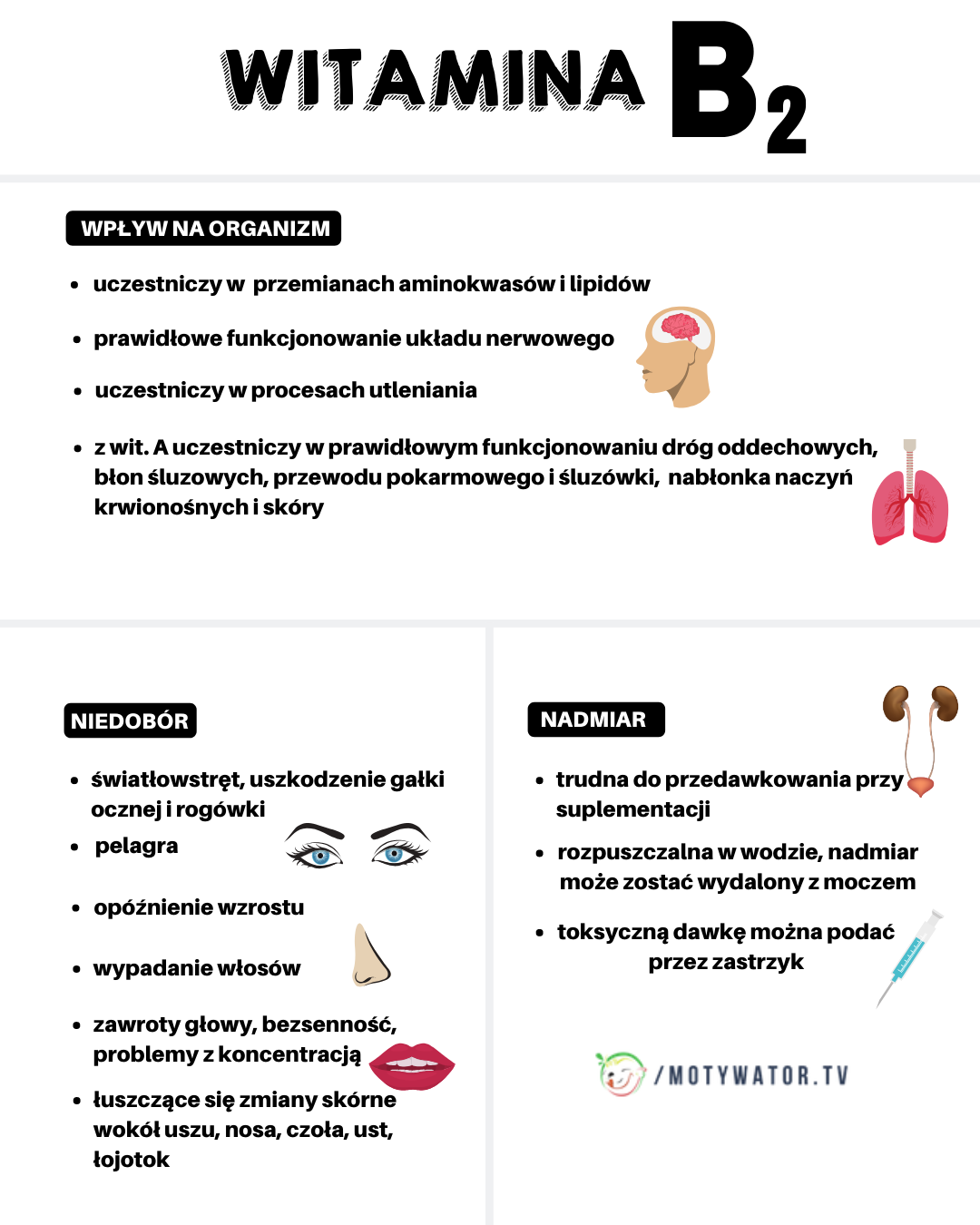 Witamina B2 – wpływ na organizm, niedobór, nadmiar