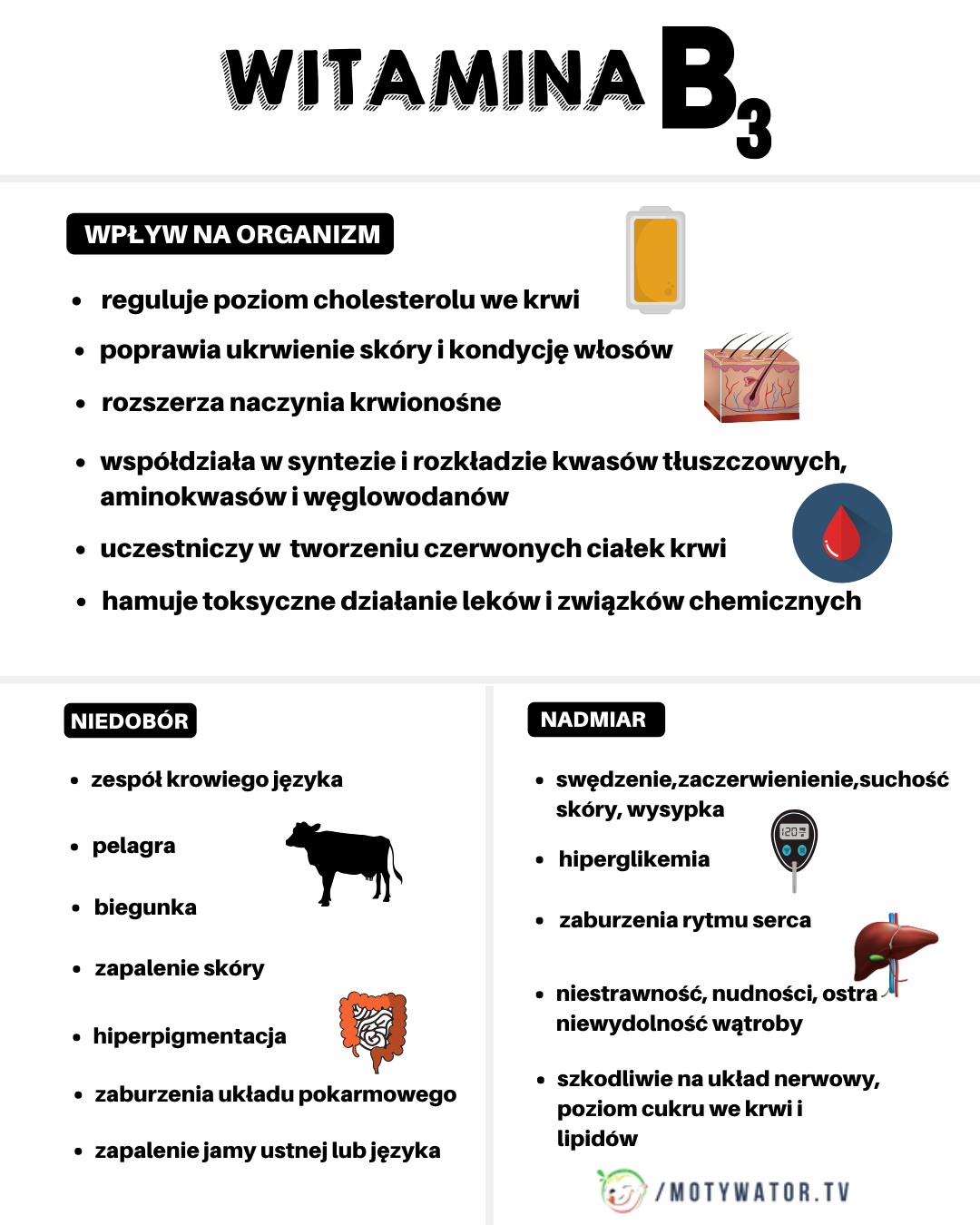 Witamina B3 – wpływ na organizm, niedobór, nadmiar