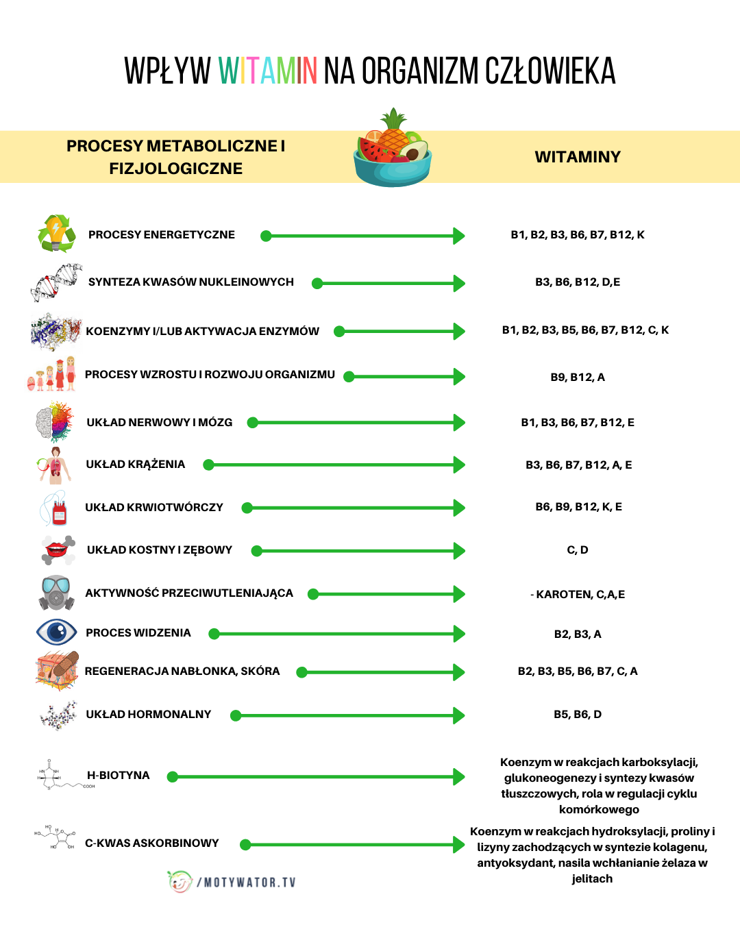 WPŁYW WITAMIN NA ORGANIZM CZŁOWIEKA