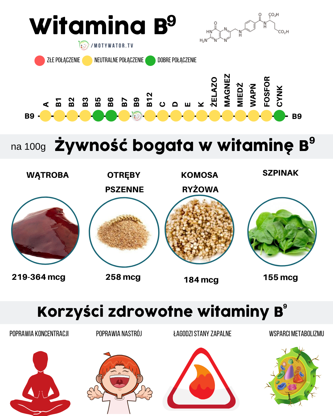 Korzyści zdrowotne witaminy B9