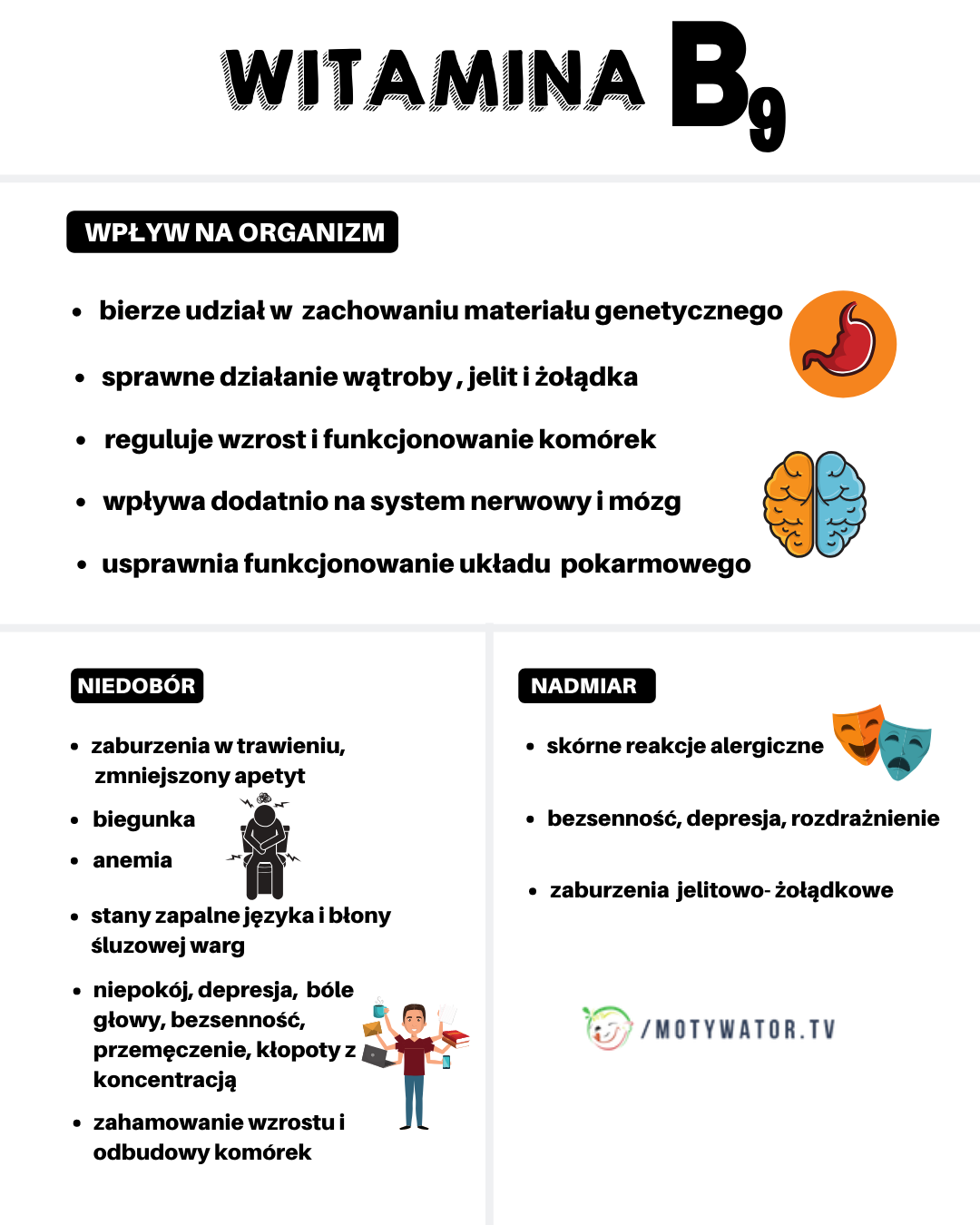 Witamina B9 – wpływ na organizm, niedobór, nadmiar