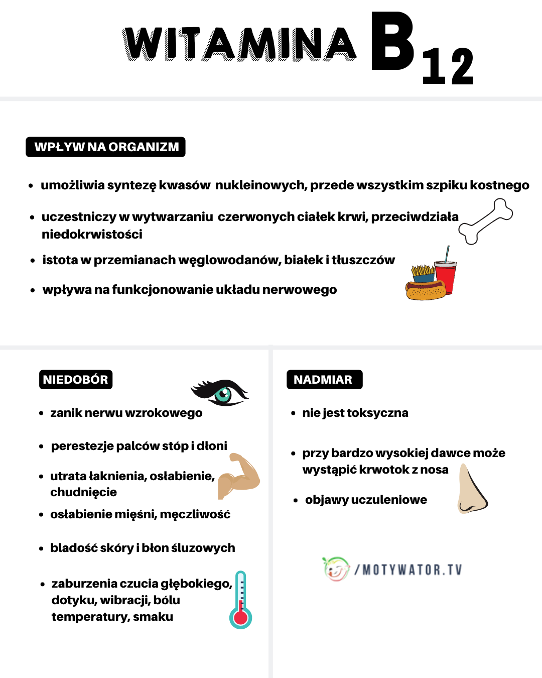 Witamina B12 – wpływ na organizm, niedobór, nadmiar
