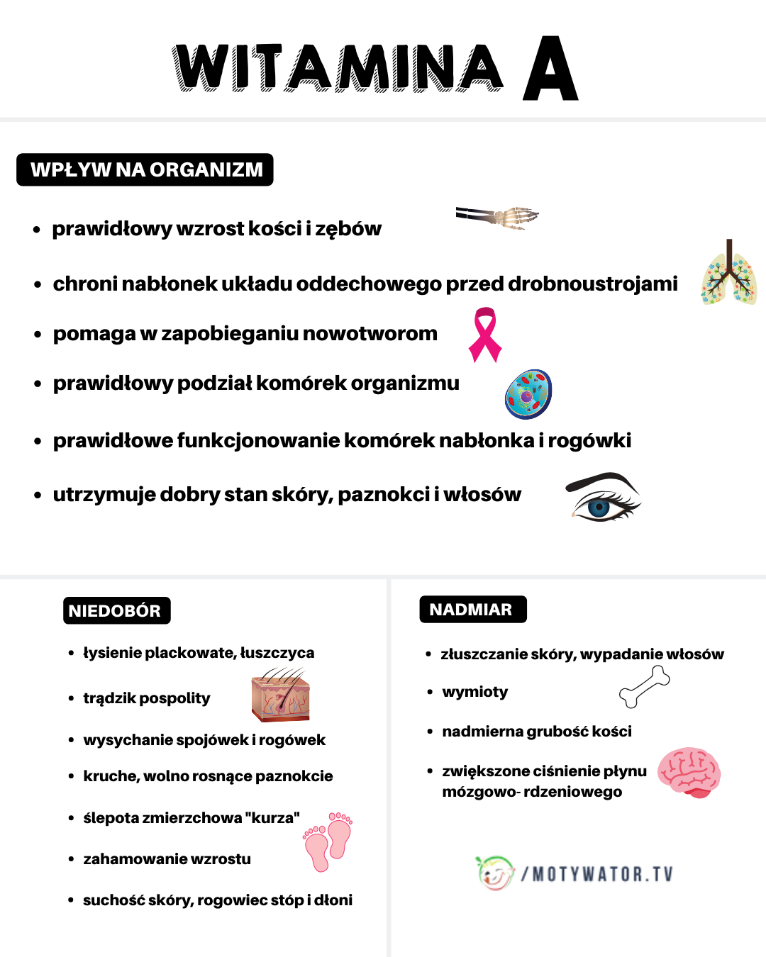 Witamina A - wpływ na organizm, niedobór, nadmiar