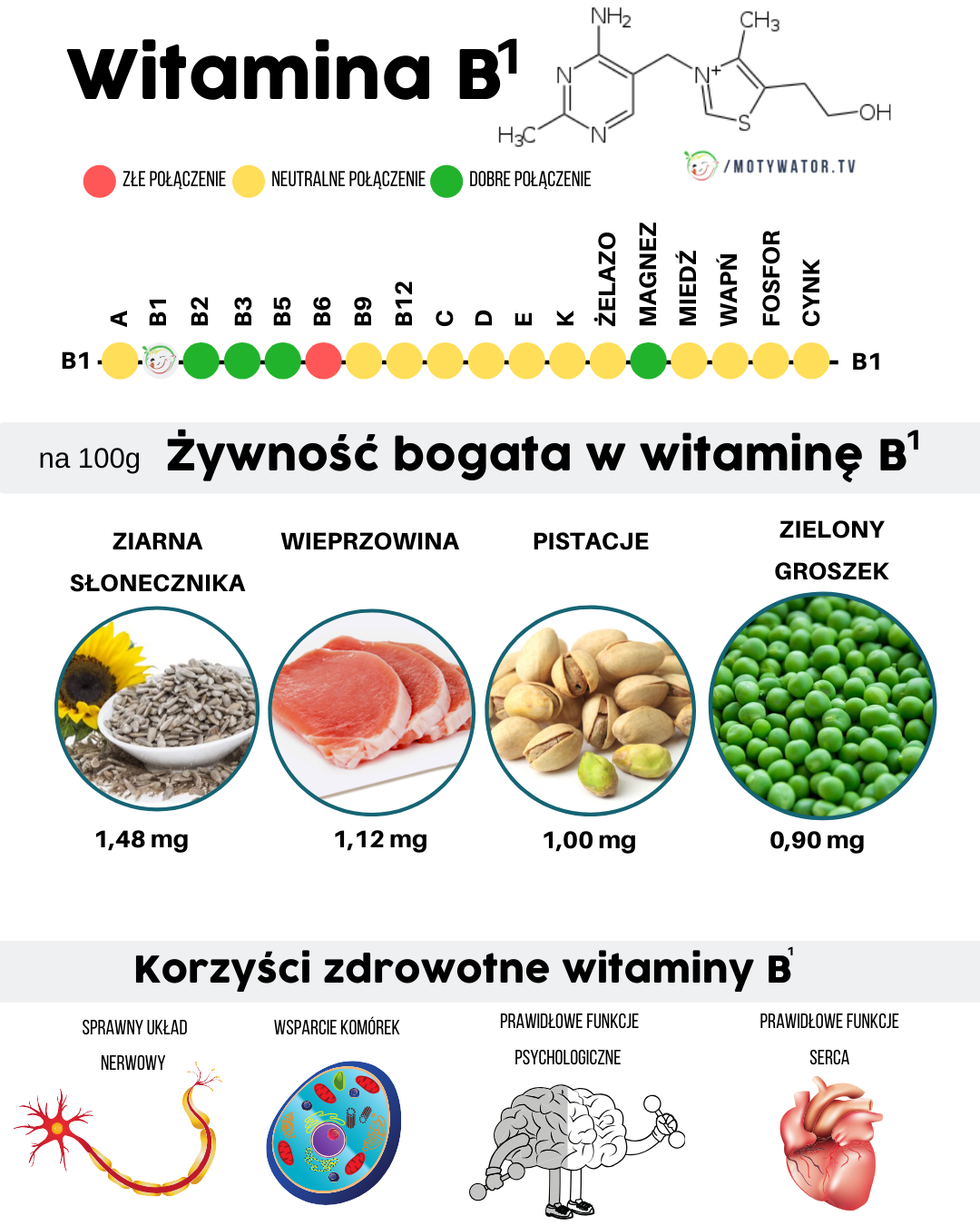 Korzyści zdrowotne witaminy B1