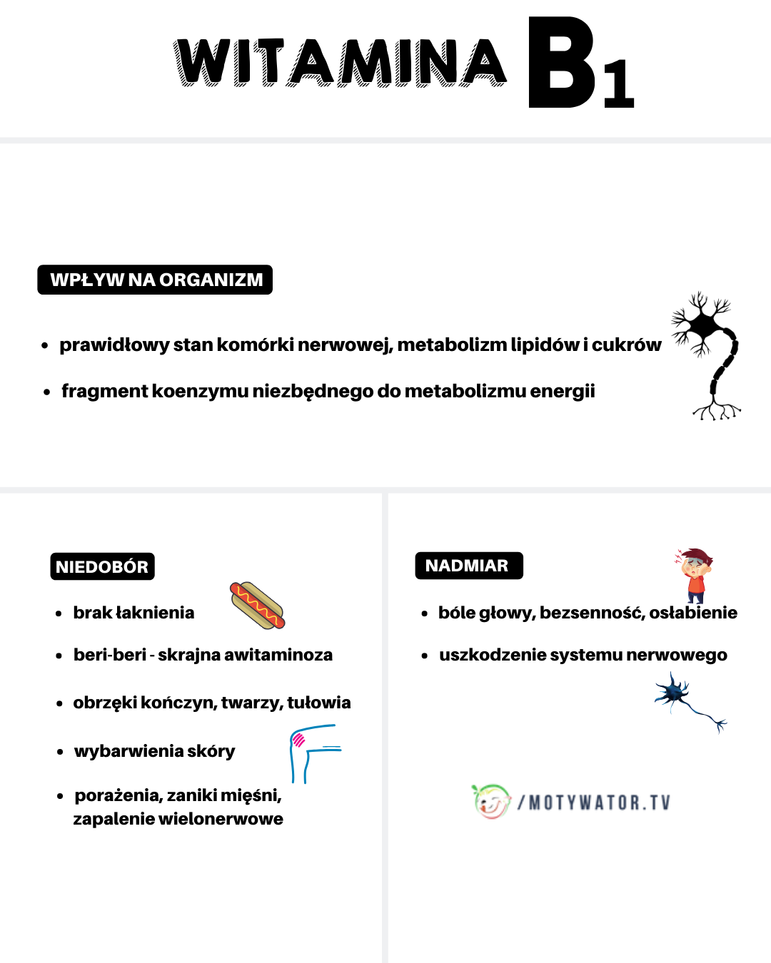 Witamina B1 – wpływ na organizm, niedobór, nadmiar