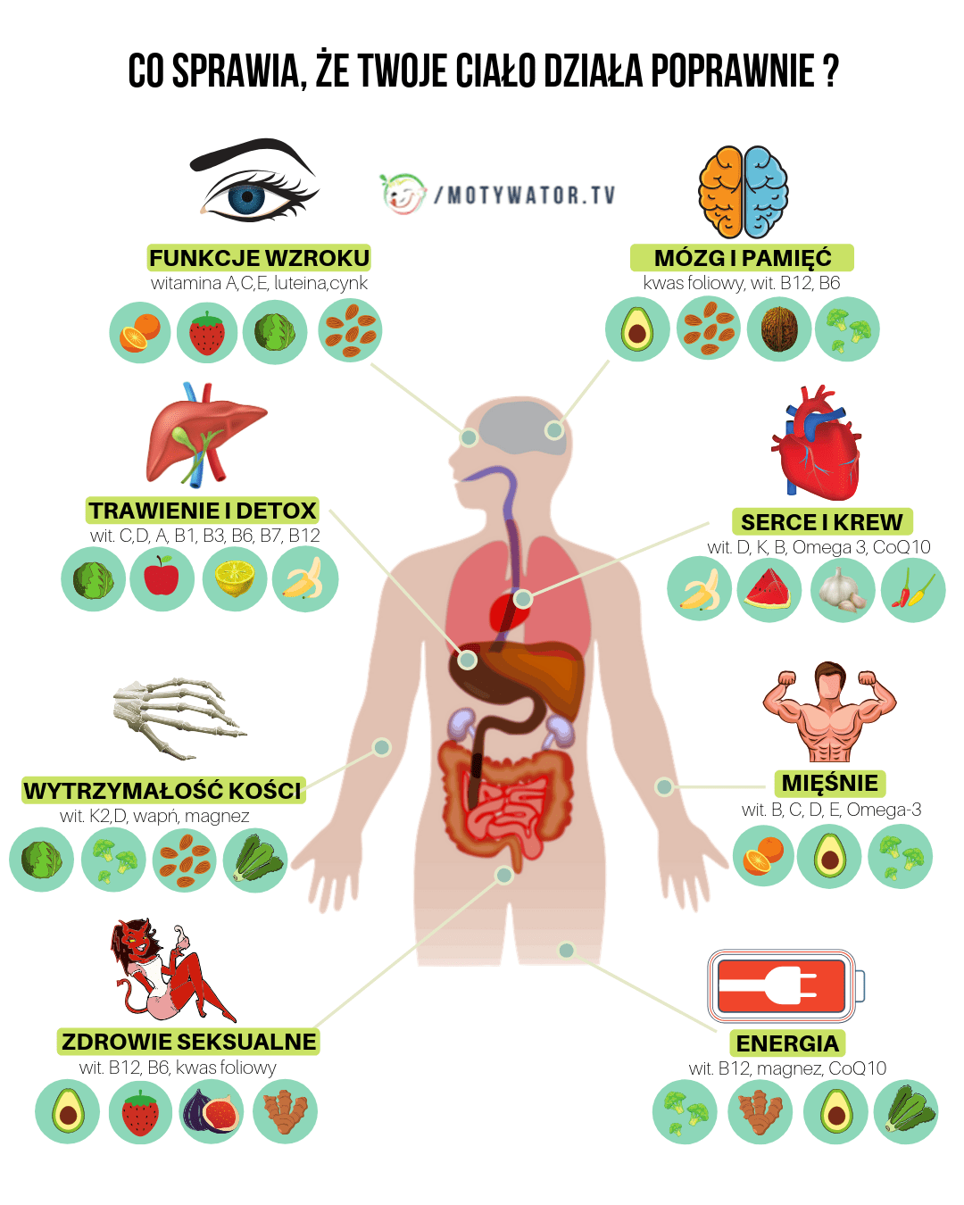 Co sprawia, że twoje ciało działa poprawnie ?