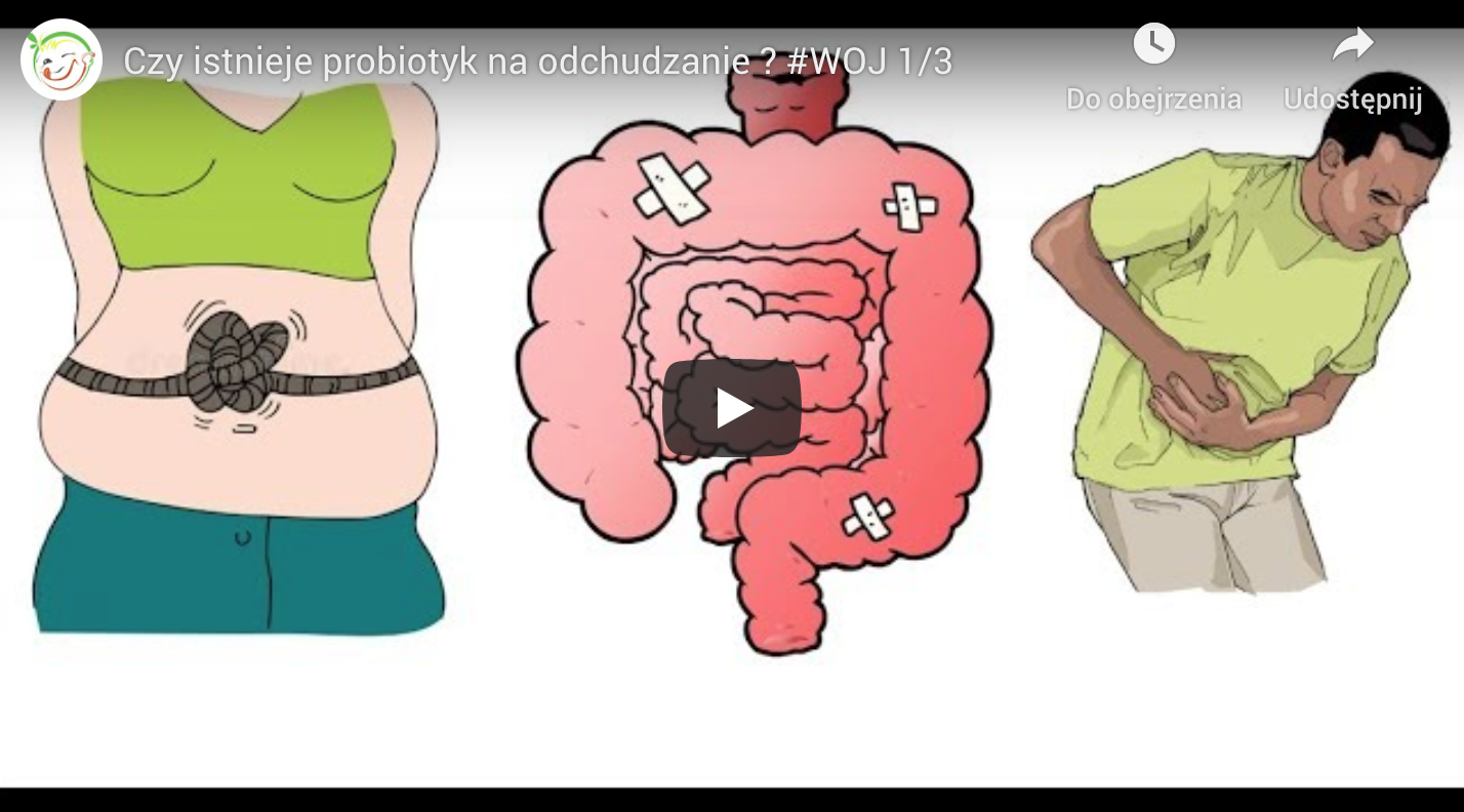 Czy istnieje probiotyk na odchudzanie ?