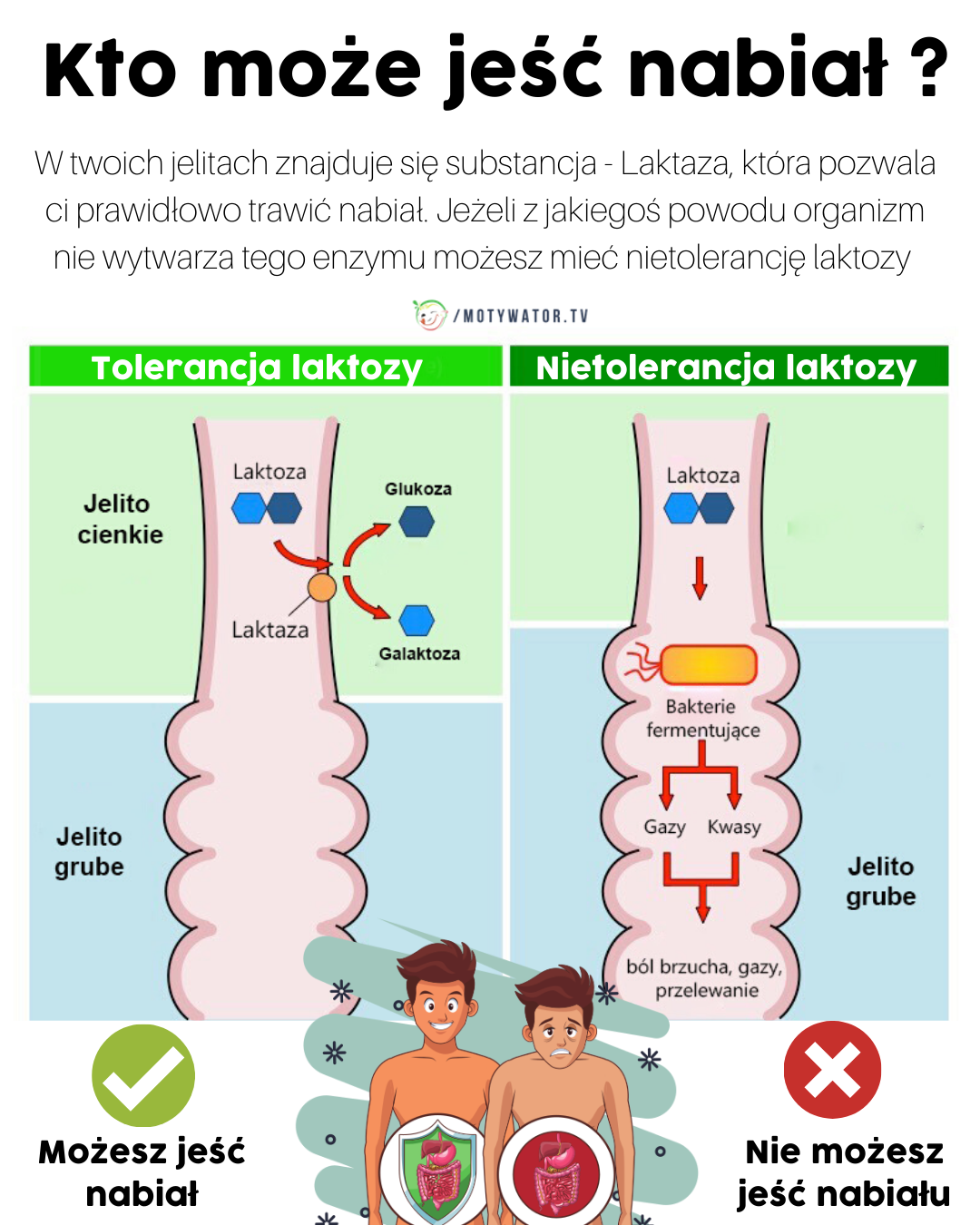 Czym jest nietolerancja pokarmowa ?