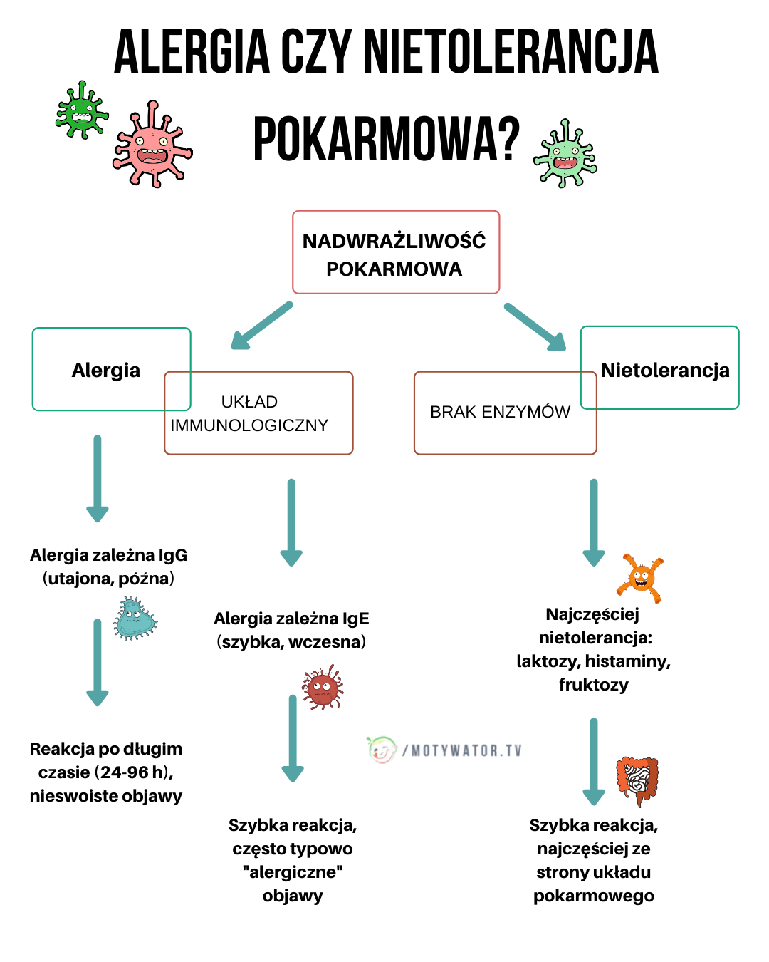 Różnica między nietolerancją a alergią pokarmową