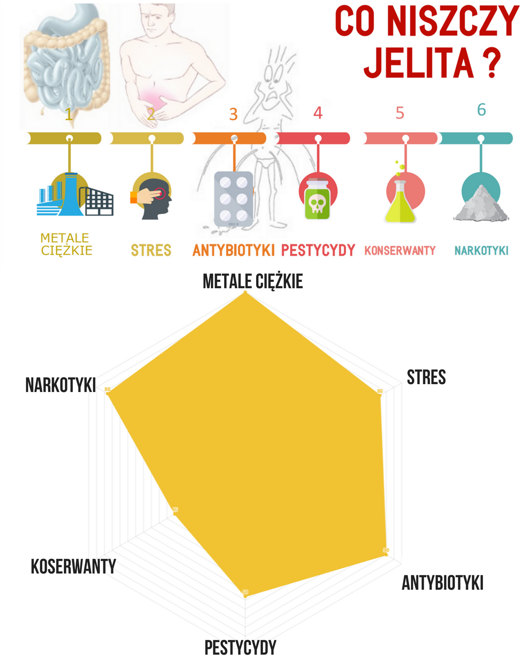 Znaczenie mikroflory jelitowej w kontekście zdrowia