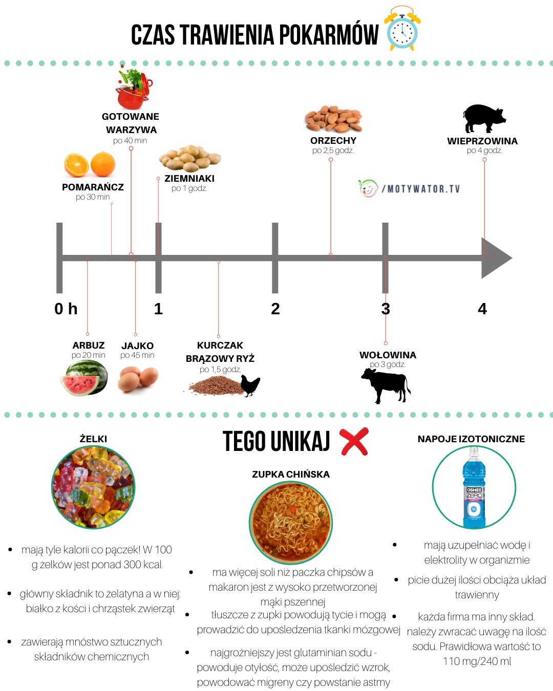 Czas trawienia pokarmów