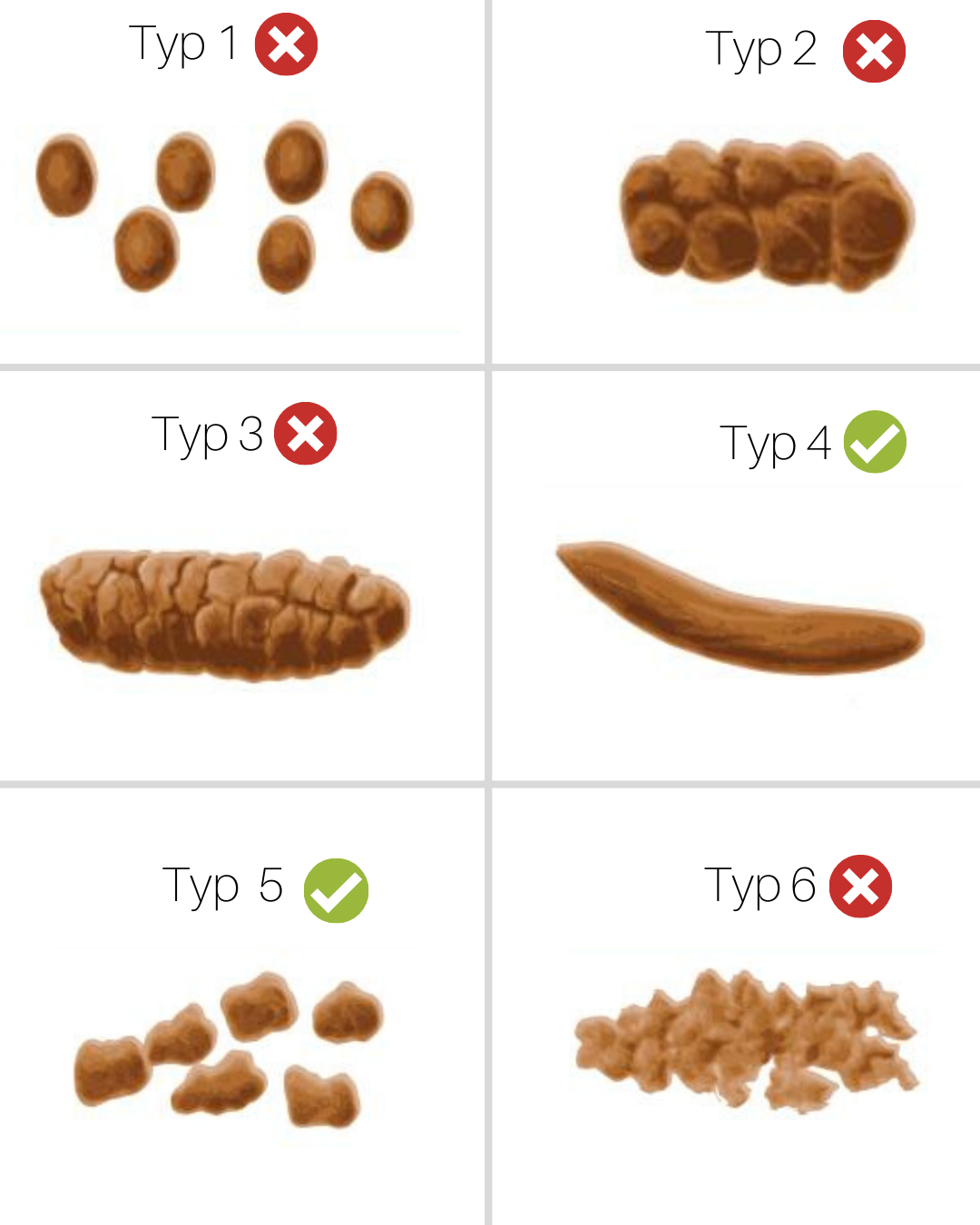 Jak ważny jest kał w wykrywaniu chorób układu pokarmowego