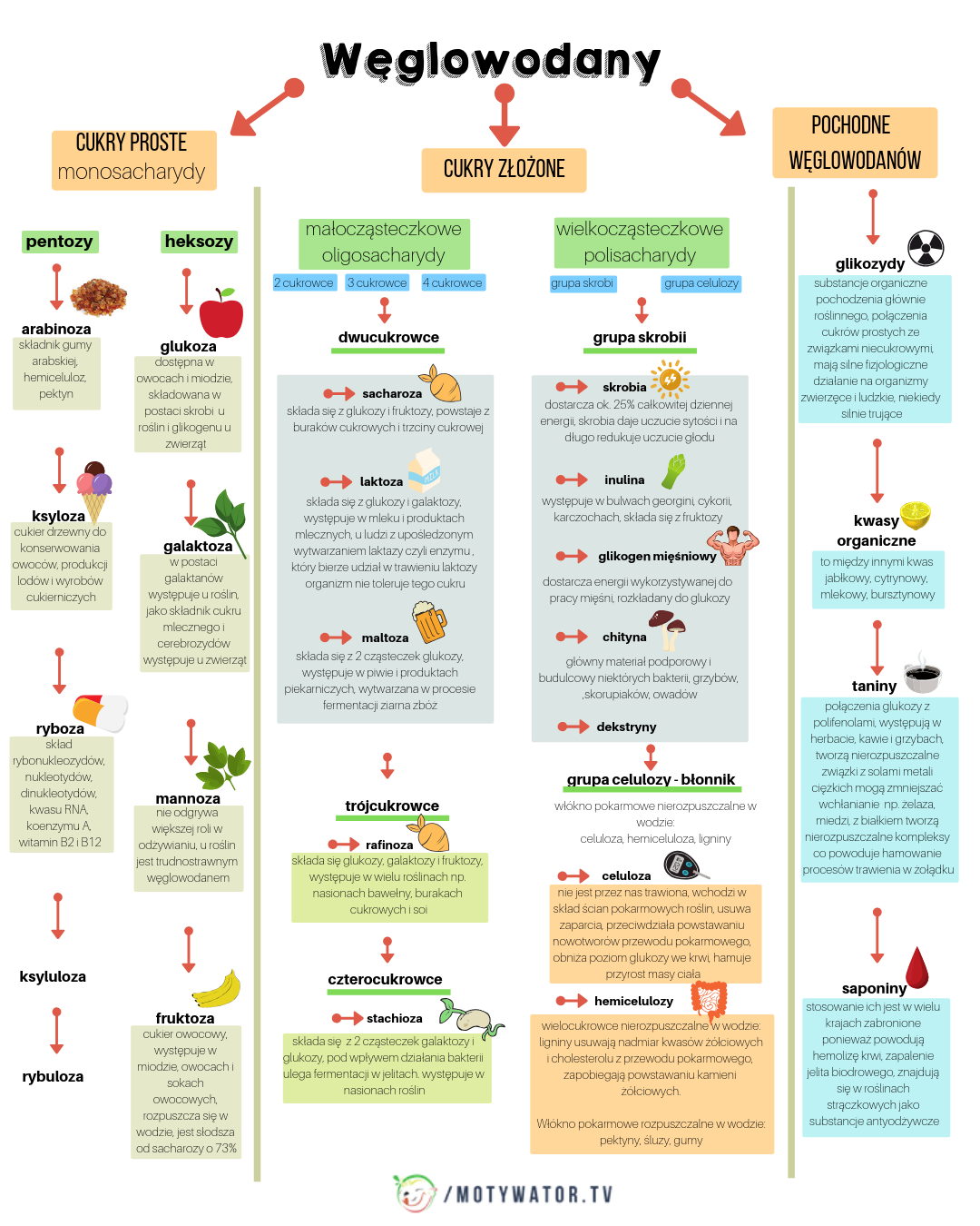 Mit 1 - Węglowodany to zło