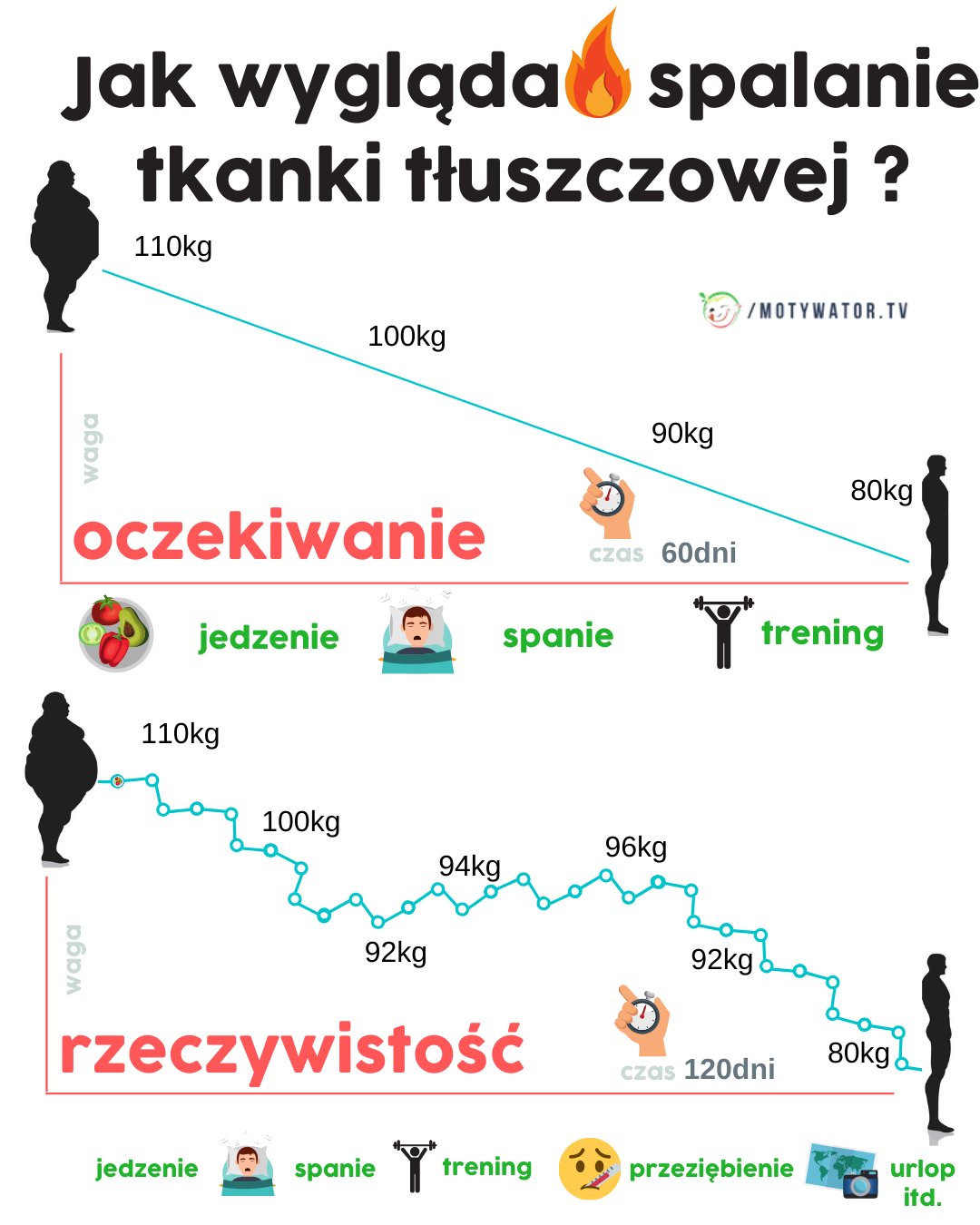 Jakie są podstawowe rzeczy które warto wiedzieć na temat diety oraz spalania tkanki tłuszczowej? Jak wygląda spalanie tkanki tłuszczowej?