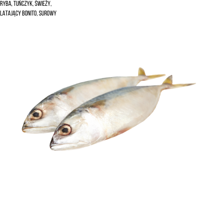 Ryba, tuńczyk, świeży, latający bonito, surowy
