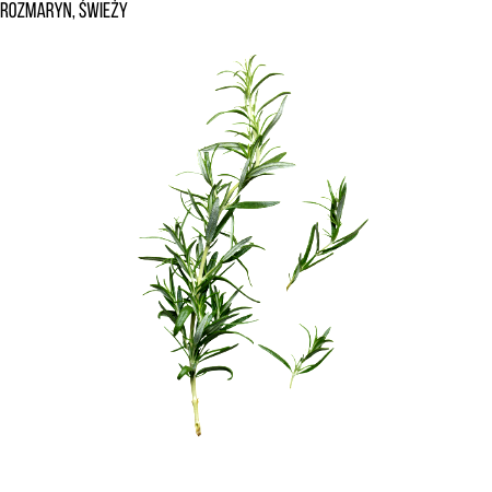 Rozmaryn, świeży