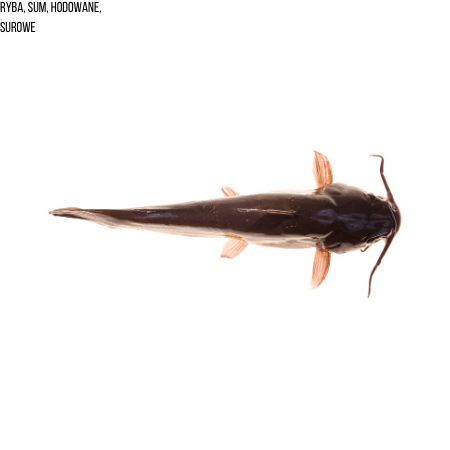 Ryba, sum, hodowane, surowe