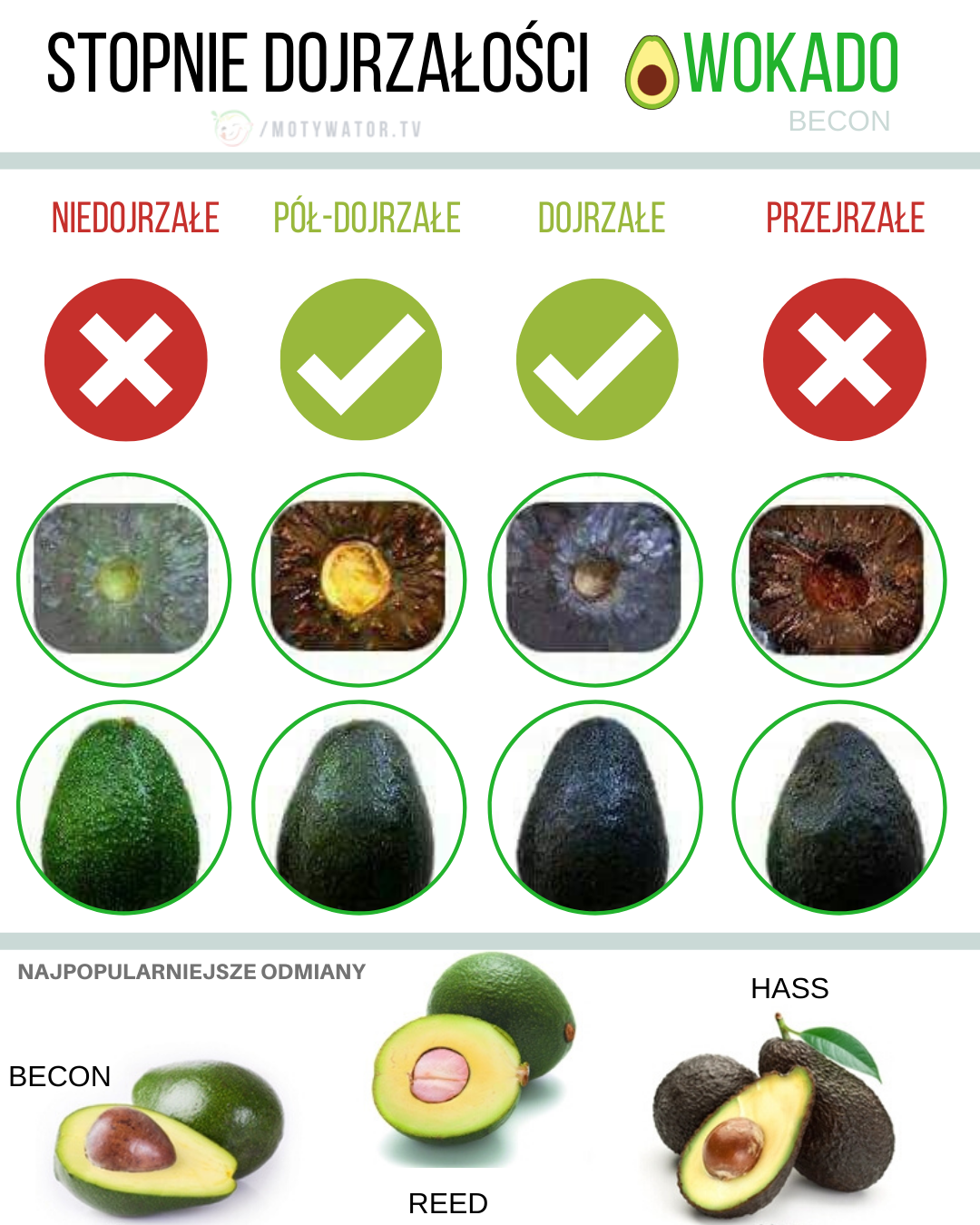 Stopnie dojrzałości Awokado