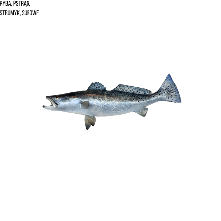 Ryba, pstrąg, strumyk, surowe