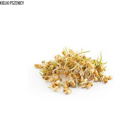 Kiełki Pszenicy