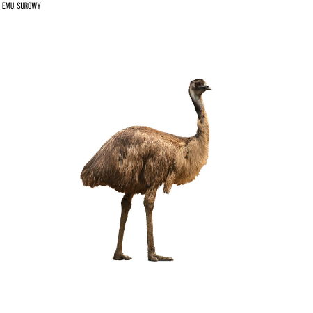 Emu surowy