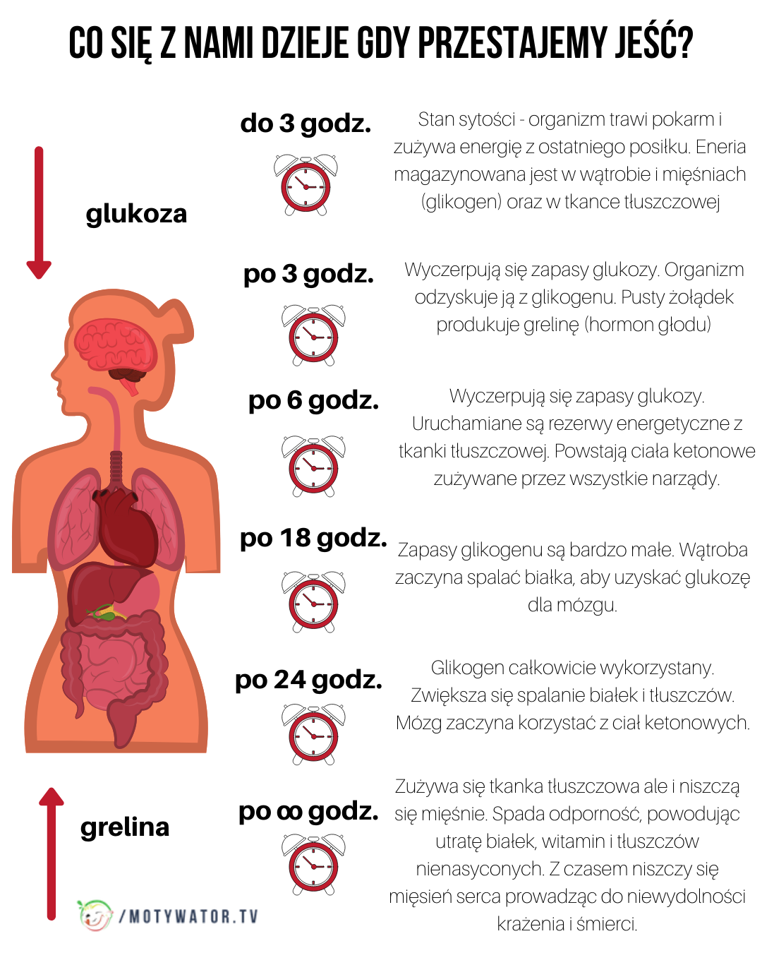 Mit 18 - Zakaz jedzenia po 18. Co się z nami dzieje gdy przestajemy jeść?