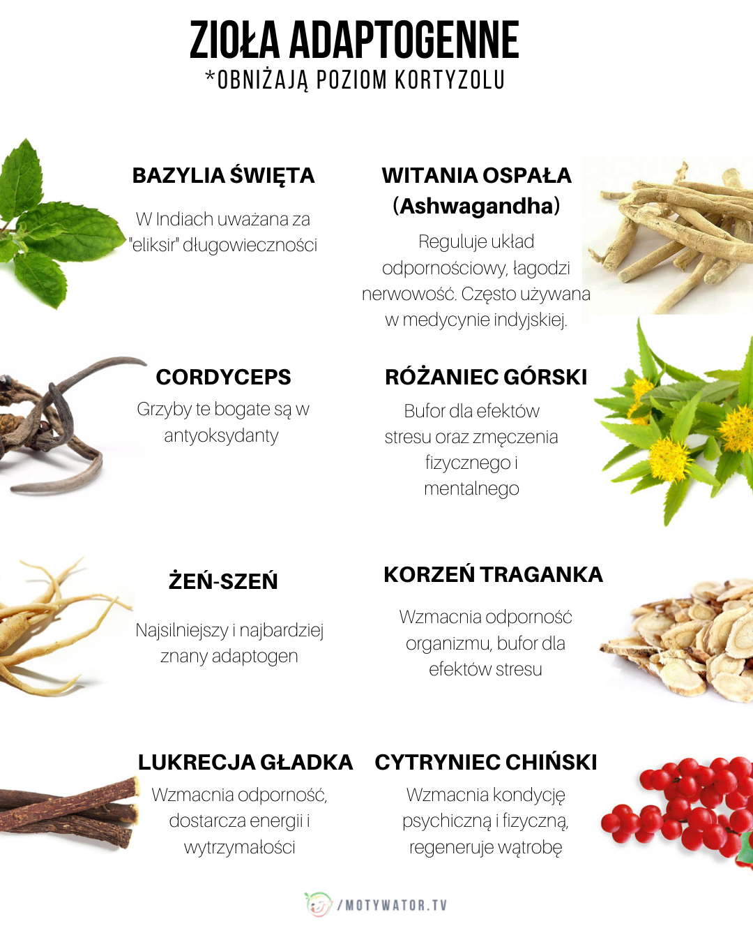 Zioła adaptogenne - obniżają poziom kortyzolu