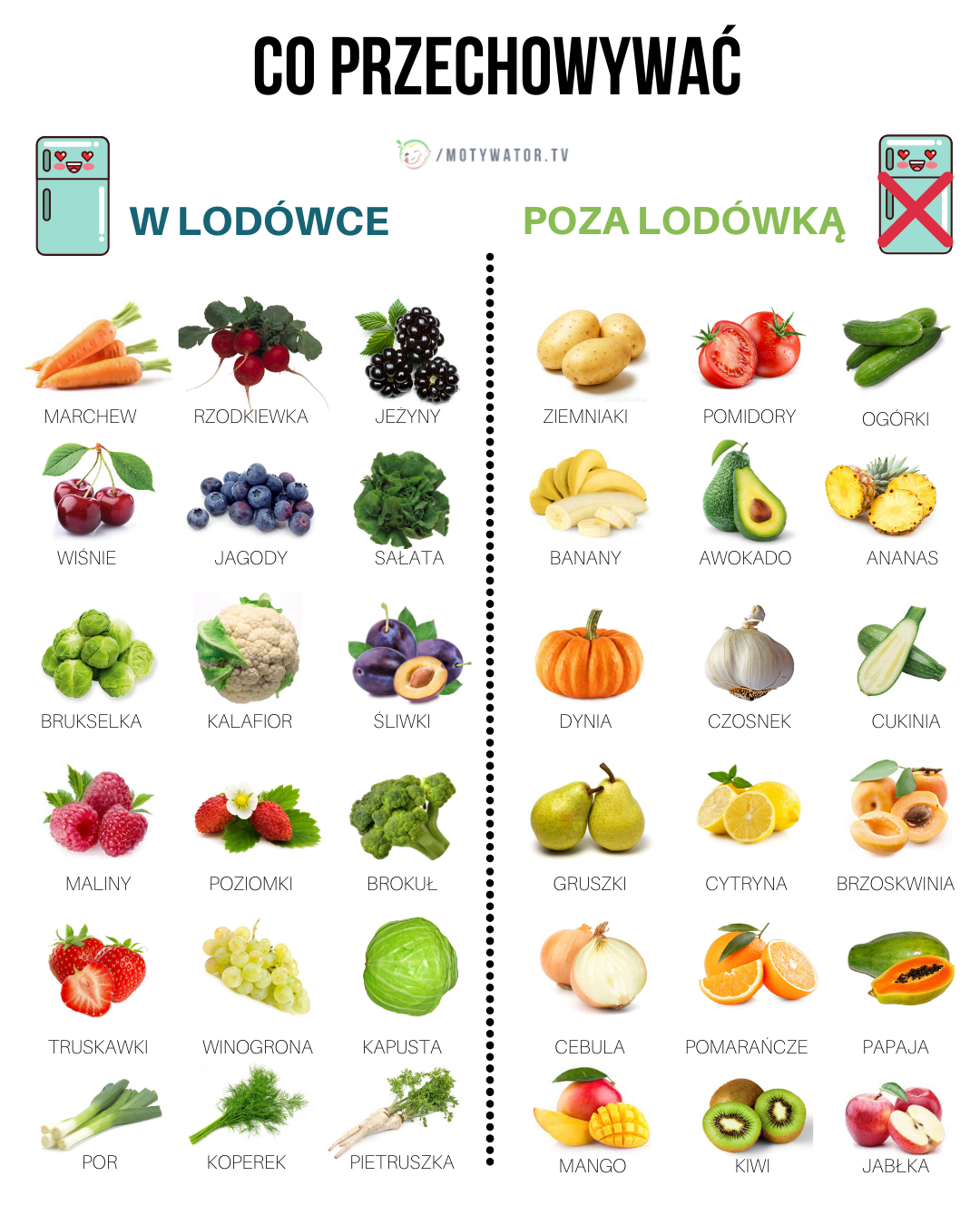 Co przechowywać w lodówce a co poza lodówką?