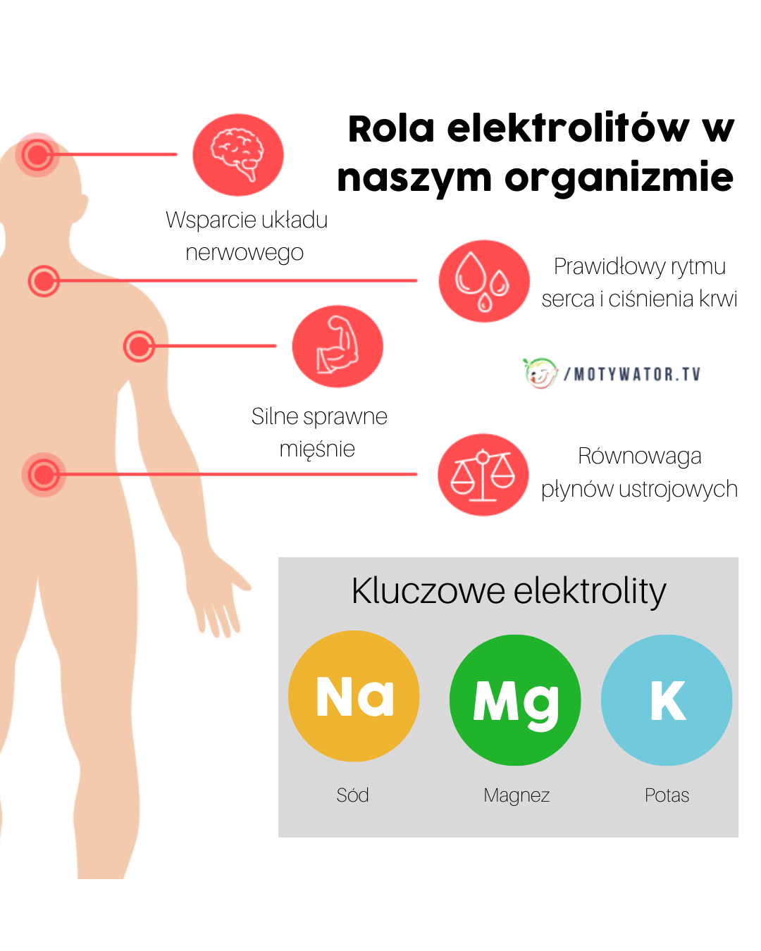 Rola elektrolitów w naszym organizmie